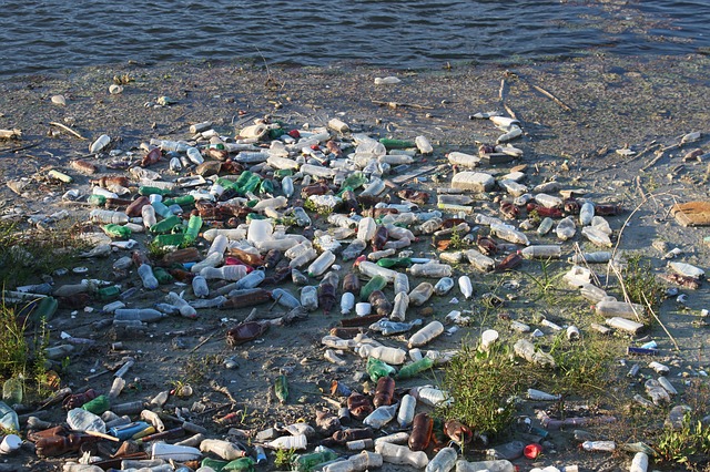  » L’Union Européenne interdira certains objets jetables en plastique d’ici 2021