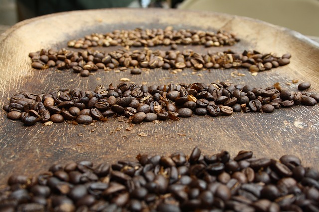  » De nombreuses espèces de café menacées par le changement climatique