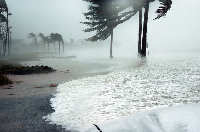  » La tempête tropicale Pabuk frappe la Thaïlande