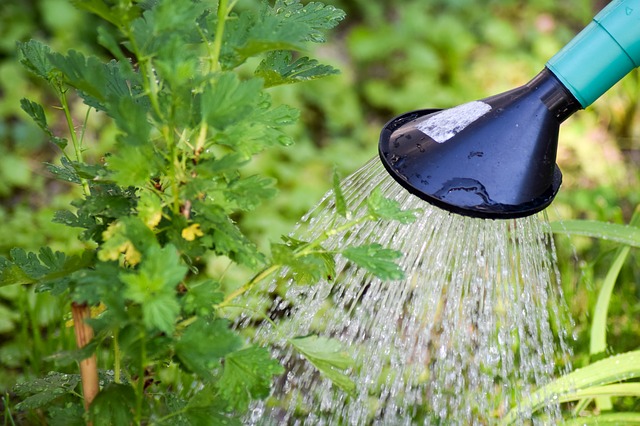  » Le gouvernement annonce des mesures pour économiser l’eau face au changement climatique