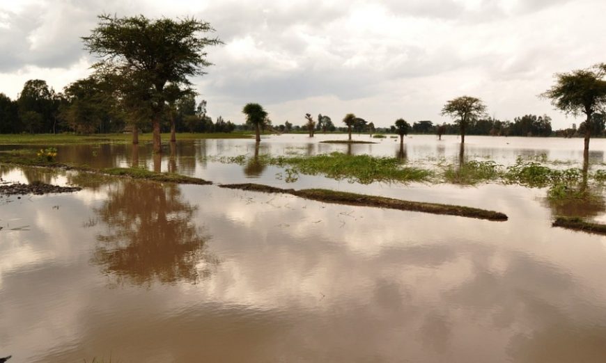  » Des inondations mortelles frappent la Somalie